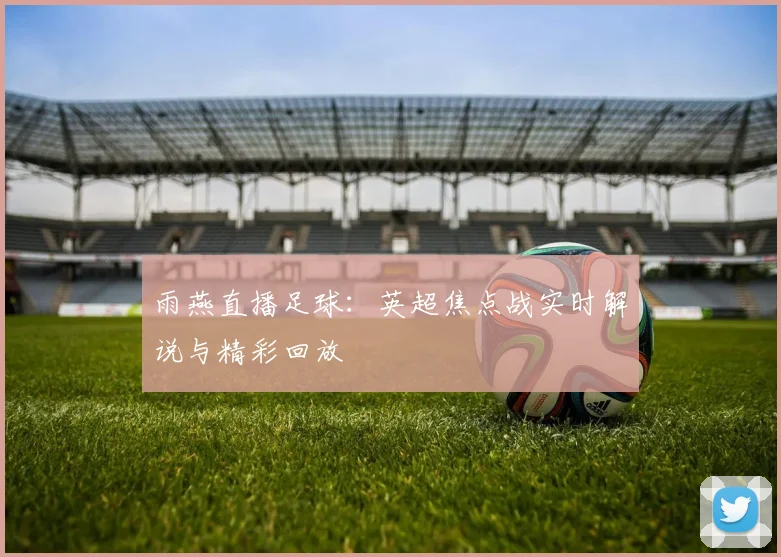 雨燕直播足球:英超焦点战实时解说与精彩回放